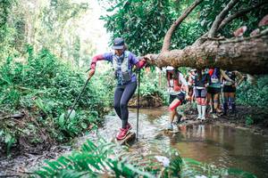 BIB: 
                            <button type="button" onclick="openModal(25514764)" class="btn btn-primary btn-sm float-right btn-popup" data-toggle="modal" data-target=".modal-high-quality">
                        <i class="fas fa-shopping-cart"></i> Add to Cart
                    </button>
                                            <button type="button" onclick="isThisMe(25514764, true)" class="btn btn-success btn-sm float-right btn-popup btn-isme hidden" data-toggle="tooltip" data-placement="bottom" title="นี่คือรูปของคุณใช่ไหม คลิกที่นี่เพื่อเอาเข้าอัลบั้ม">
                        <i class="fas fa-plus"></i> Add to album
                    </button>
                    <button type="button" onclick="isThisMe(25514764, false)" class="btn btn-warning btn-sm float-right btn-popup btn-isnotme hidden">
                        <i class="fas fa-ban"></i> Remove from album
                    </button>